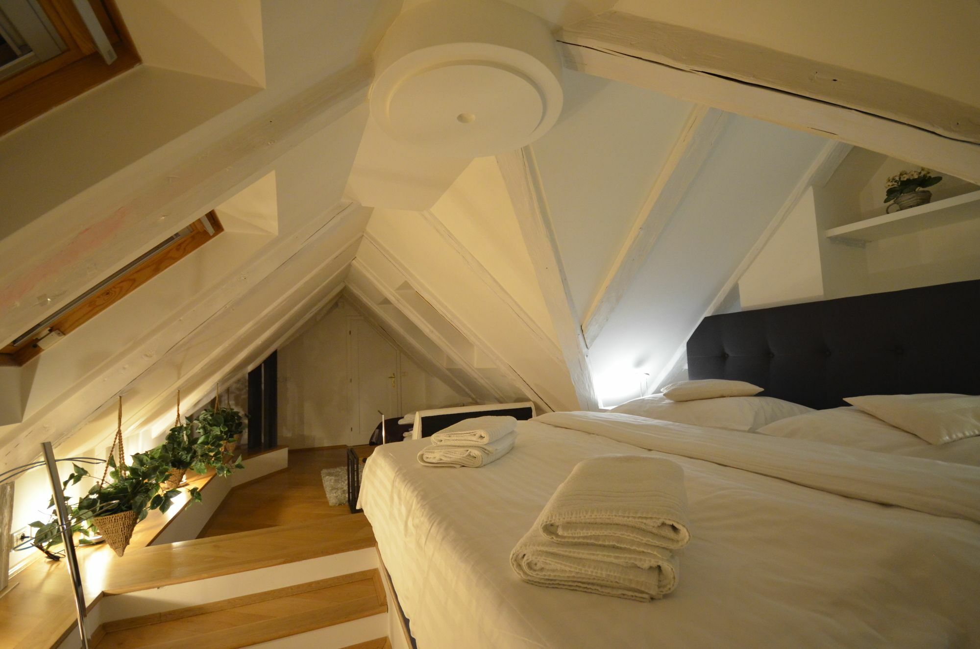 Attic Hroznova - Charles Bridge